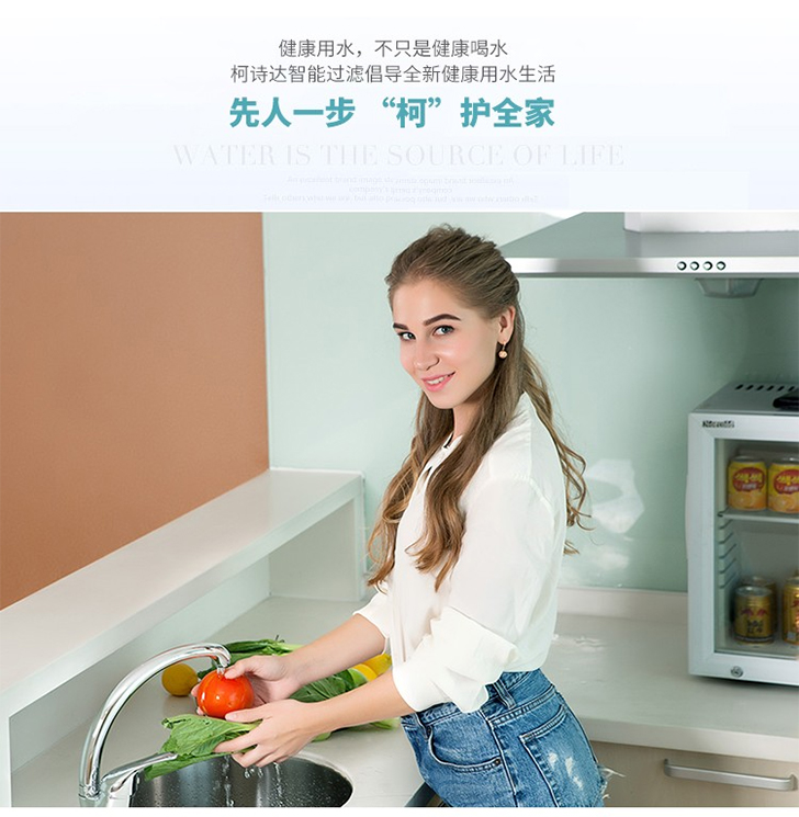 柯诗达智能反冲洗前置过滤器